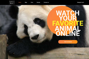 photo of online-zoo project